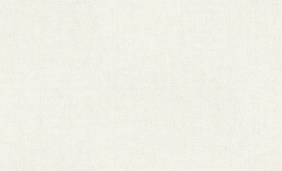 Шпалери вінілові на флізеліновій основі A.S. Creation Birds 38223-2 1,06x10,05 м