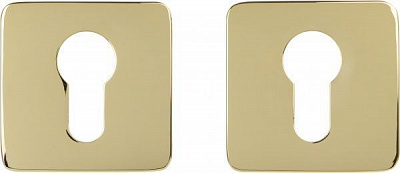 Накладка Colombo PT 13 RoboquattroS PZ полированная латунь