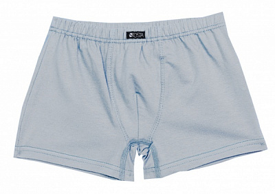 Трусы для мальчиков KOSTA р.158-164 серый 2105-4 