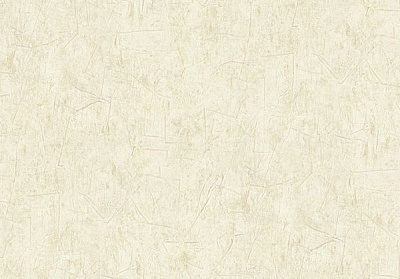 Шпалери вінілові гарячого тиснення Vinil Барбара ТФШ4-0940 1,06x10,05 м