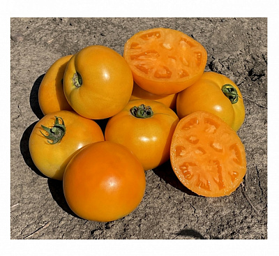 Семена Професійне насіння томат Свит Сан F1 10 шт. (4820176697950)