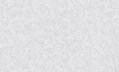 Обои виниловые на флизелиновой основе Bravo SIMPLE 515SP19 1,06x10,05 м