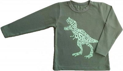 Реглан Маленькие люди д/х р.116 хакі