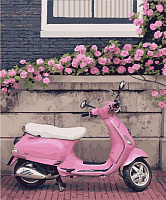 Картина по номерам Город Роз.Нормандия 10530-AC 40х50 см ArtCraft 
