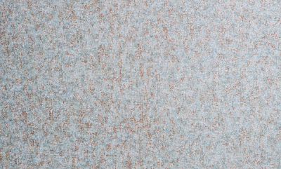 Обои виниловые на флизелиновой основе DINASTIA 895DN38 1,06x10,05 м 