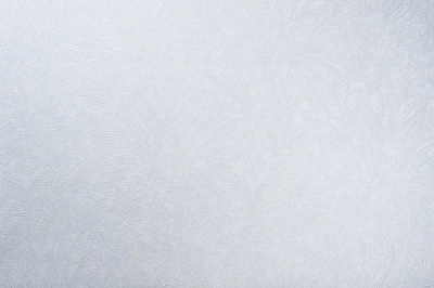 Шпалери зі спіненого вінілу Vinil Фіджі декор ДХС-1480/1 1,06x10,05 м