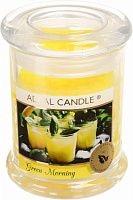 Свічка ароматична Pako-If Зелений ранок 10х7,6 см (А-197) 
