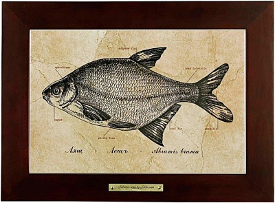 Картина Fish-Point 