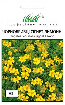 Семена Професійне насіння бархатцы мелкоцветные Сигнет лимонные 0,2 г