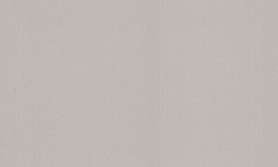 Шпалери вінілові на флізеліновій основі Status 402ST00 1,06x10,05 м