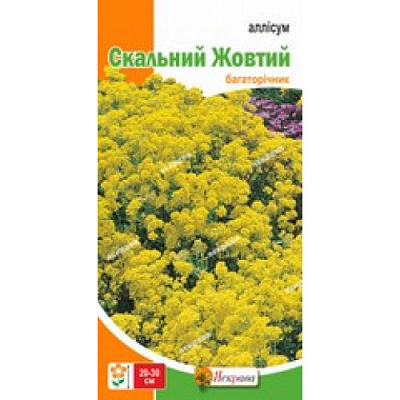 Насіння Яскрава бурачок Аллiсум Скальний Жовтий