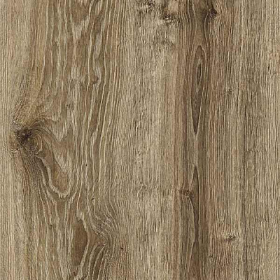 Ламинат Diamond АС4/32 8 мм  Дуб монгольский  D256