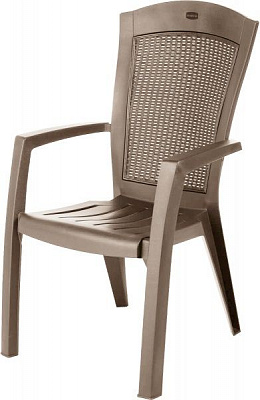 Крісло Keter Minesota капучино 209720