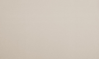 Шпалери вінілові на флізеліновій основі DINASTIA 825DN21 1,06x