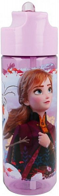 Пляшка дитяча Disney - Frozen II 540 мл STOR
