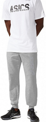 Брюки Asics ASICS BIG LOGO SWEAT PANT 2031A977-026 р. L серый