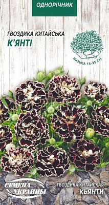 Насіння Семена Украины гвоздика китайська К'янті 0,1 г