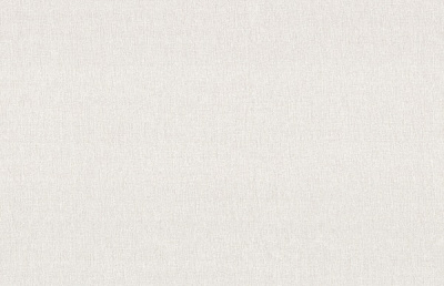 Обои виниловые на флизелиновой основе Vinil Тигго стена ЭШТ 2-1536 1,06x10,05 м 