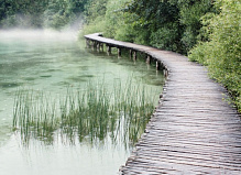 Репродукция Дорожка в озере 80x110 см Арт Фемелі 