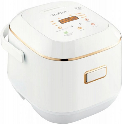 Мультиварка Tefal Mini Multicooker RK601132 