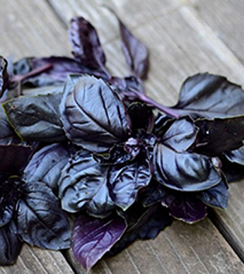 Семена Садовий Світ базилик фиолетовый Опал 0,3г (4823095600704)