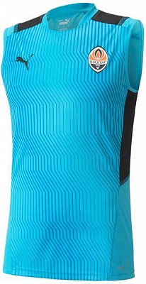 Футболка Puma FCSD Training Jersey SL 76410804 р. L голубой