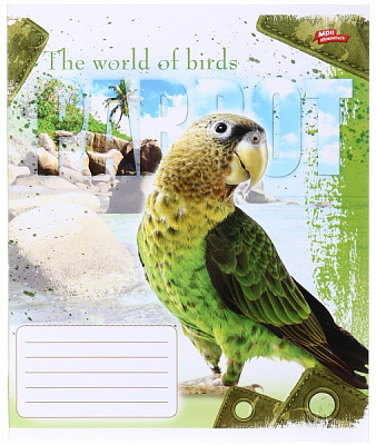 Зошит шкільний уф-лак 12 аркушів у лінійку в асортименті Мрії збуваються