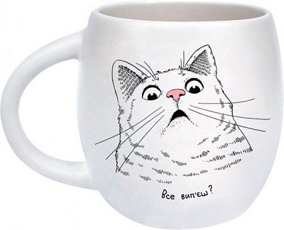 Чашка Удивленный кот 450 мл Orner