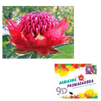 Картина по номерам 2 в 1 Алмазная мозаика + раскраска 40х50 см CY2302