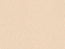 Шпалери вінілові на паперовій основі Слов'янські шпалери Expromt Мільтонія 2 5812-01 0,53x10,05 м 