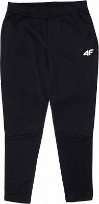 Брюки 4F S4L21-SPMTR050-20S р. 2XL