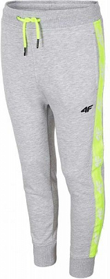 Брюки 4F HJL20-JSPMD002 р. 146 серый