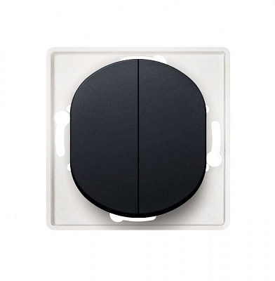 Механизм розетки двухклавишный Aling-Conel Eon без подсветки 16 А 250В черный глянец E606.E