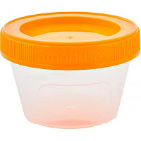 Контейнер пластиковий Алеана 124083 «Smart Box» 0,2 л світло-помаранчевий