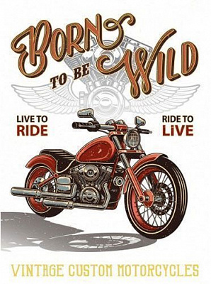 Постер Народжений вільним