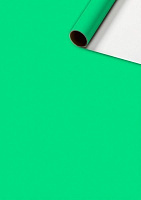 Папір для пакування STEWO Uni Plain green 70x200 см 