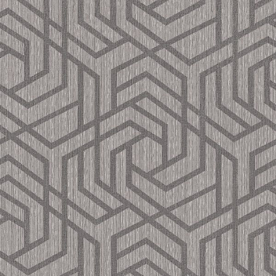 Шпалери вінілові на флізеліновій основі Sintra Viola Mesh 501740 0,53x10,05 м