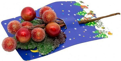 Веточка декоративная на блистере 6 13 см 450220 