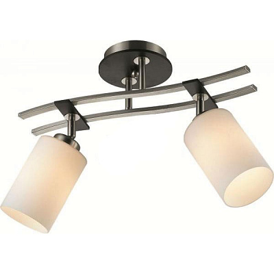 Светильник Altalusse INL-9276C-02 сатин/никель