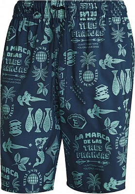 Шорты Adidas FESTIWLD CLX CL GM2224 р. S синий