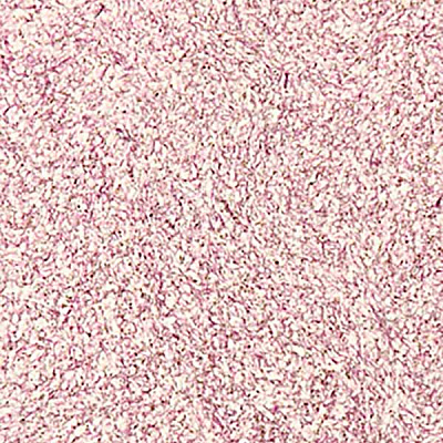 Рідкі шпалери Bioplast 8673 1 кг