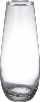 Ваза Ботаніка скляна 26 см прозора 43267