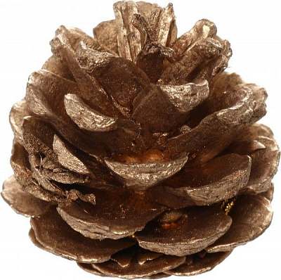 Набор шишок 6 см 18 шт./уп.  