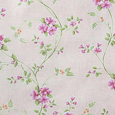 Слов'янські шпалери Kolorit B27.4 Березка 6497-02 0.53x10.05 м