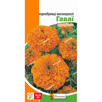 Семена Яскрава бархатцы высокорослые Гавайи