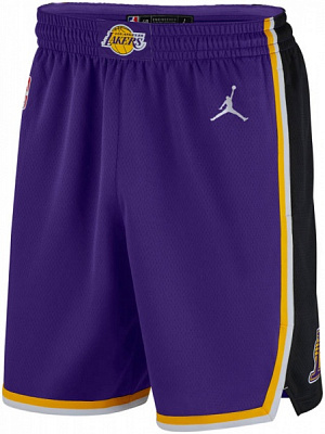 Шорты Nike LAL M NK SWGMN SHORT STMT 20 CV9564-504 р. L фиолетовый