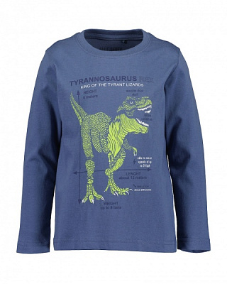 Реглан для мальчика Blue Seven р.122 ультрамарин 850718 X* 