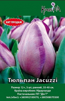 Луковица Тюльпан Jacuzzi 3 шт. 