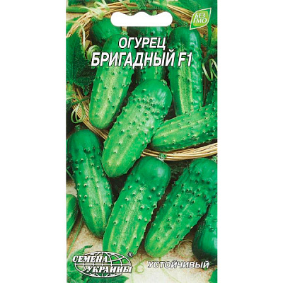 Насіння Семена Украины огірок Бригадний F1 0,5г
