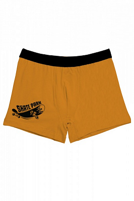 Трусики-боксеры для мальчиков KOSTA р.110–116 оранжевый 2191-3 